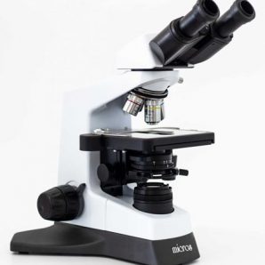 Compound Microscope