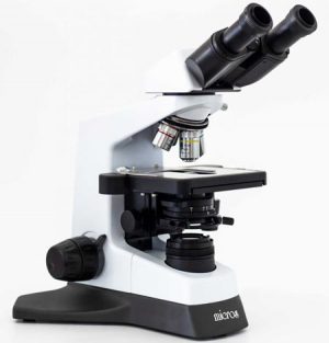 Compound Microscope