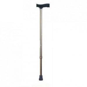 Walking Stick