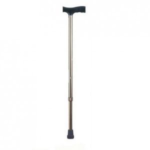 Walking Stick